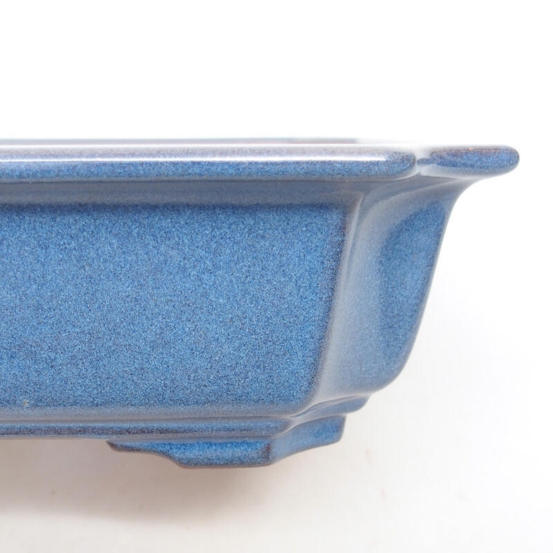 Ciotola bonsai in ceramica 21,5 x 21,5 x 6,5 cm, colore blu