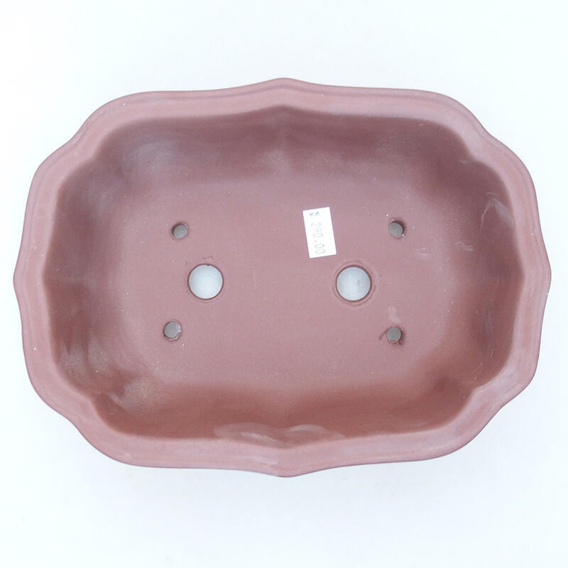 Ciotola per bonsai in ceramica 21 x 15,5 x 7 cm, marrone