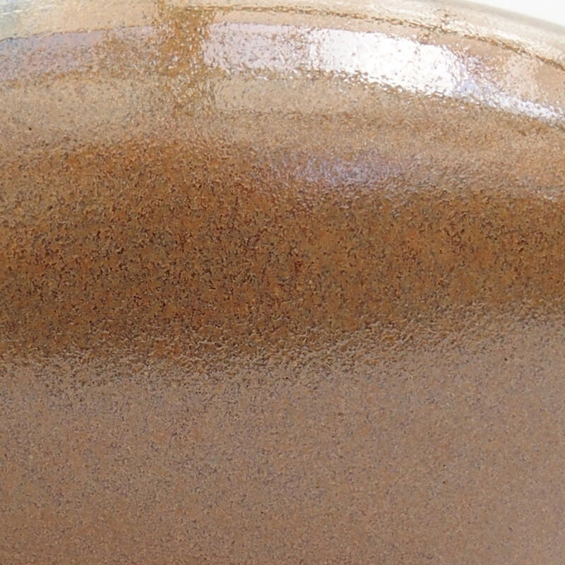 Ciotola per bonsai in ceramica 21 x 21 x 6,5 cm, marrone