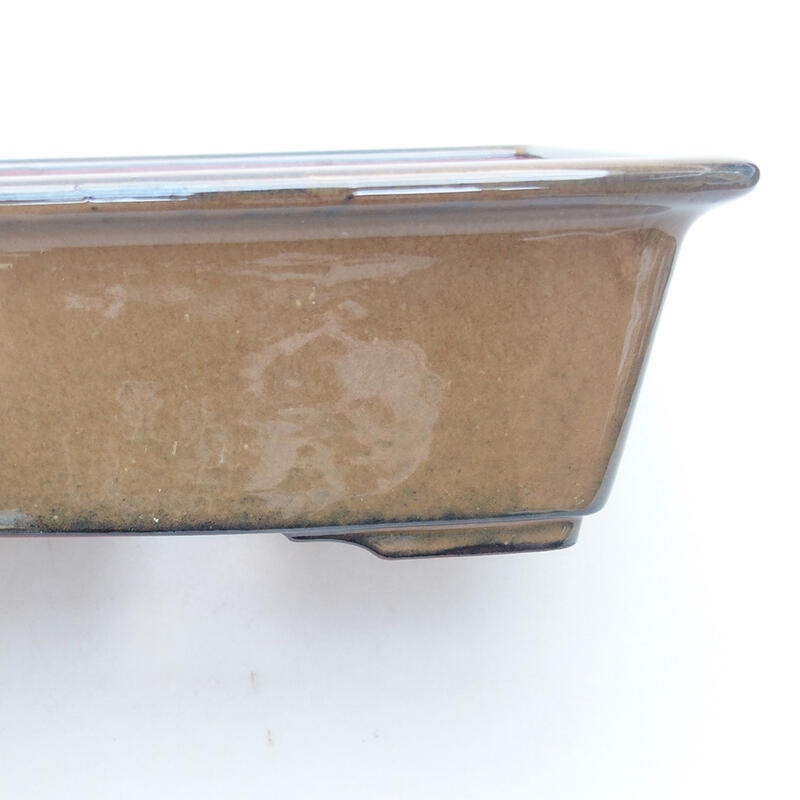 Ciotola per bonsai in ceramica 22 x 17 x 7 cm, marrone