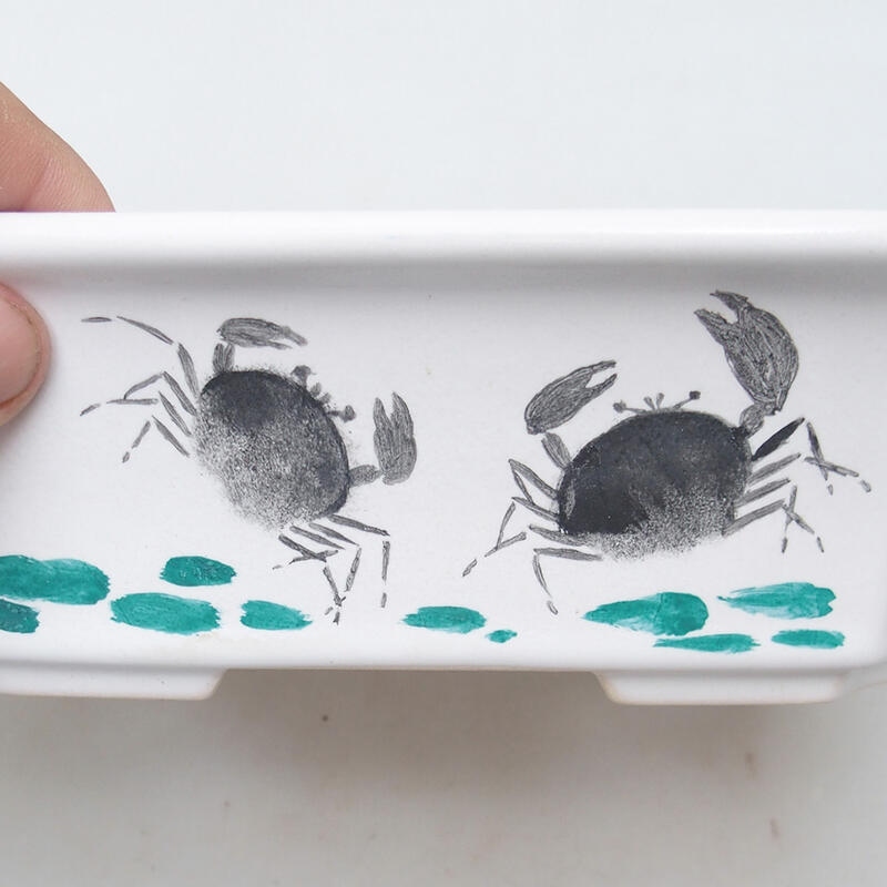 Ciotola bonsai in ceramica 22 x 18 x 7 cm, bianca