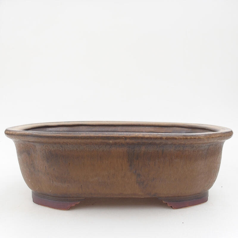 Ciotola per bonsai in ceramica 25,5 x 22 x 7,5 cm, marrone