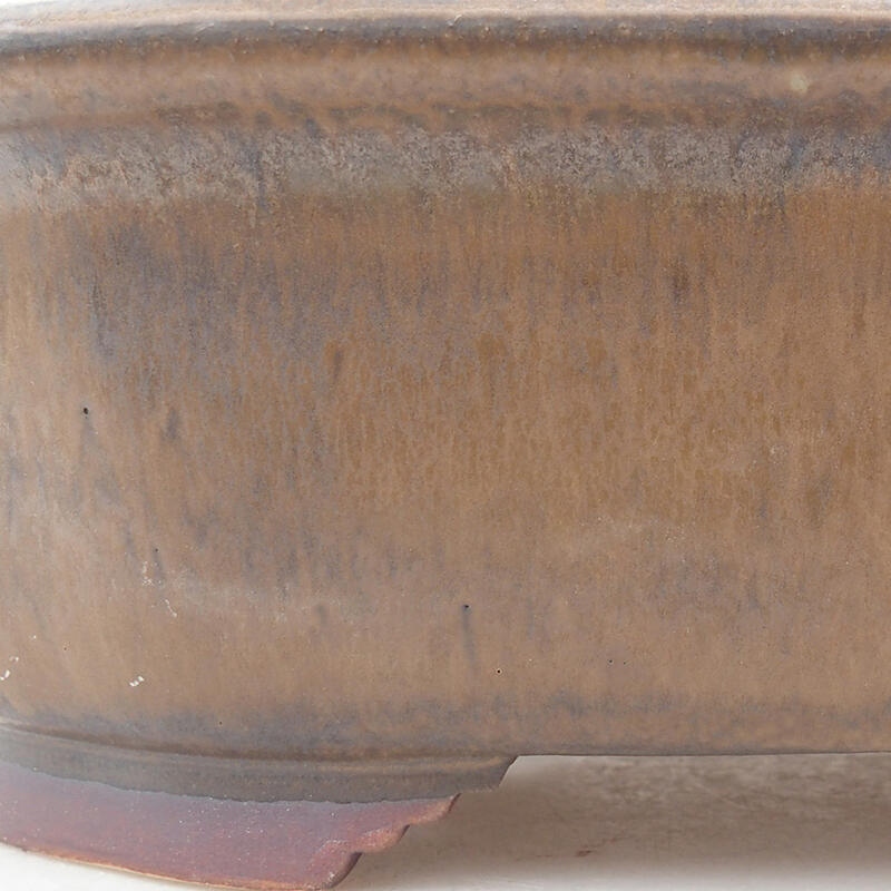 Ciotola per bonsai in ceramica 25,5 x 22 x 7,5 cm, marrone