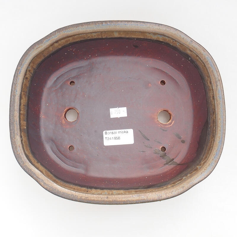 Ciotola per bonsai in ceramica 25,5 x 22 x 7,5 cm, marrone