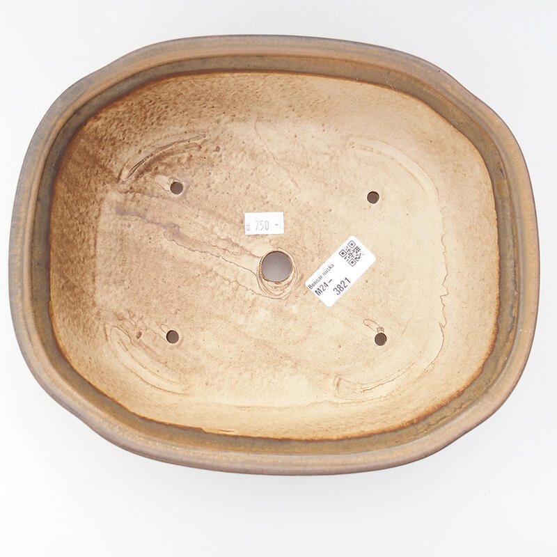 Ciotola per bonsai in ceramica 25 x 21 x 7,5 cm, marrone