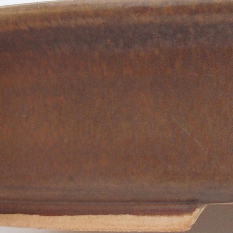 Ciotola bonsai in ceramica 26 x 23,5 x 5,5 cm, marrone