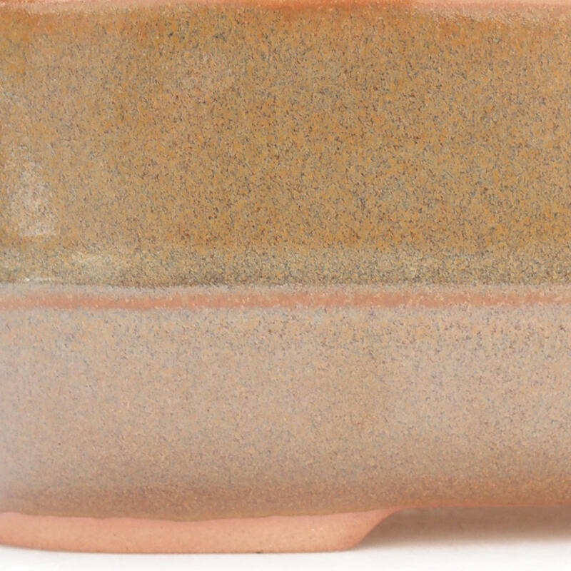 Ciotola per bonsai in ceramica 28 x 21 x 7,5 cm, marrone