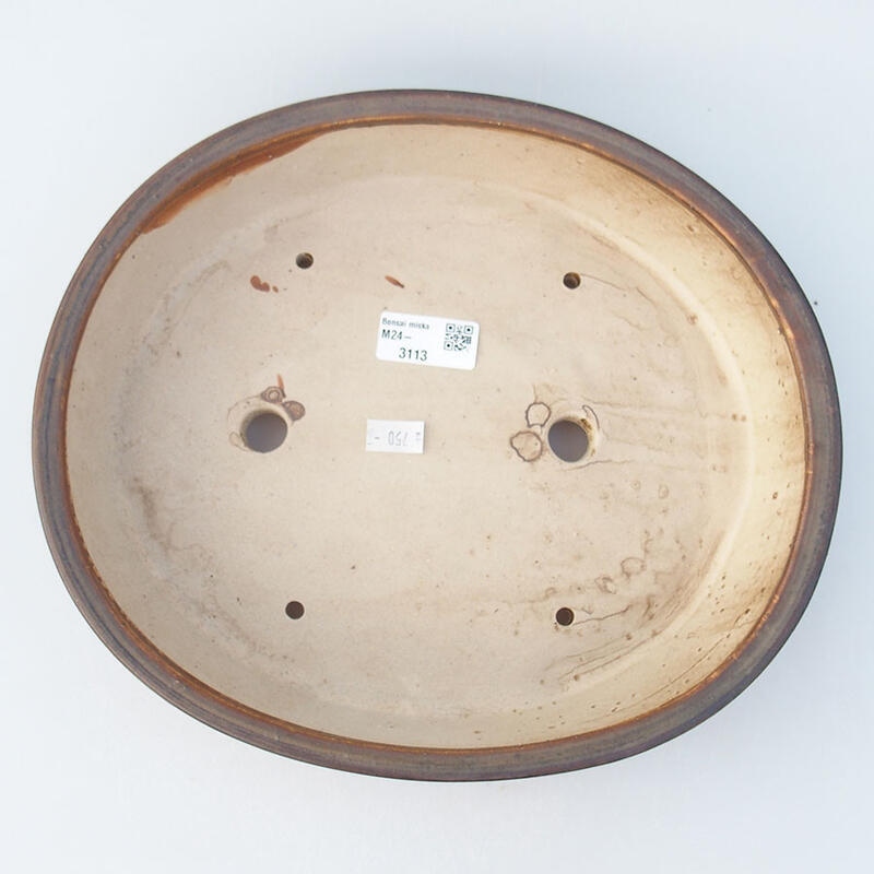 Ciotola per bonsai in ceramica 28 x 25 x 6 cm, marrone