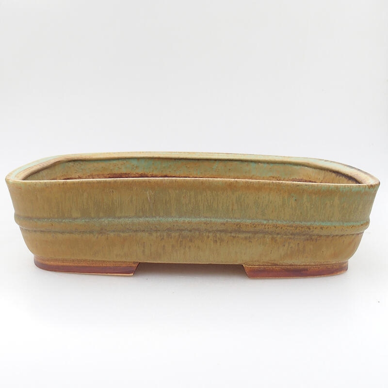 Ciotola per bonsai in ceramica 29 x 23,5 x 7 cm, verde