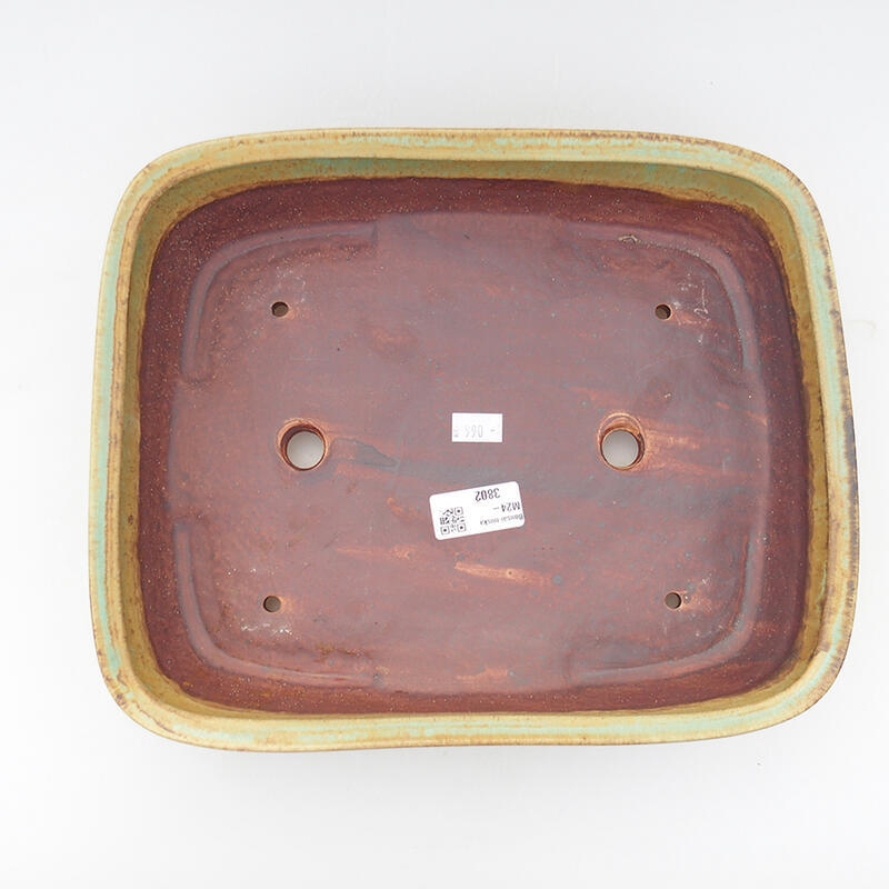 Ciotola per bonsai in ceramica 29 x 23,5 x 7 cm, verde