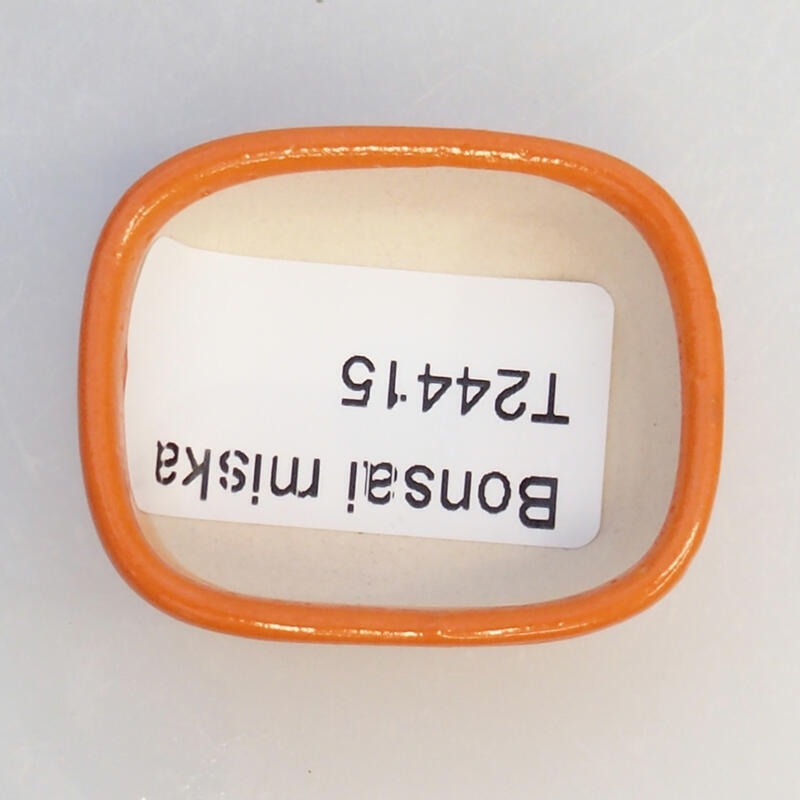 Ciotola bonsai in ceramica 4 x 3,5 x 1,5 cm, arancione