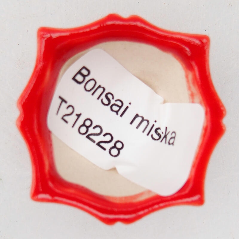 Ciotola per bonsai in ceramica 4 x 3,5 x 2 cm, colore rosso