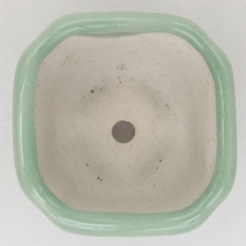 Ciotola per bonsai in ceramica 4 x 4 x 2,5 cm, verde