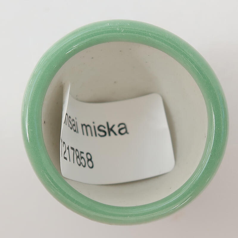 Ciotola per bonsai in ceramica 4 x 4 x 3 cm, verde