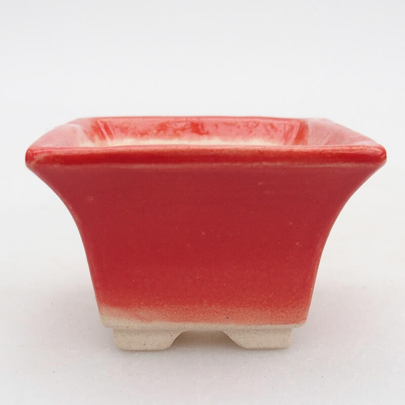 Ciotola per bonsai in ceramica 5,5 x 5,5 x 3,5 cm, colore rosso