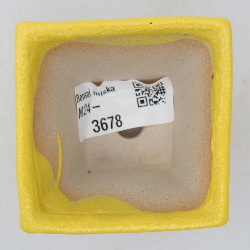 Ciotola bonsai in ceramica 5,5 x 5,5 x 3,5 cm, giallo