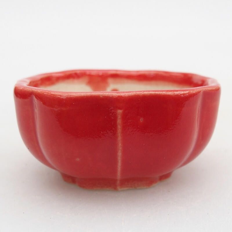 Ciotola per bonsai in ceramica 5,5 x 5,5 x 3 cm, colore rosso