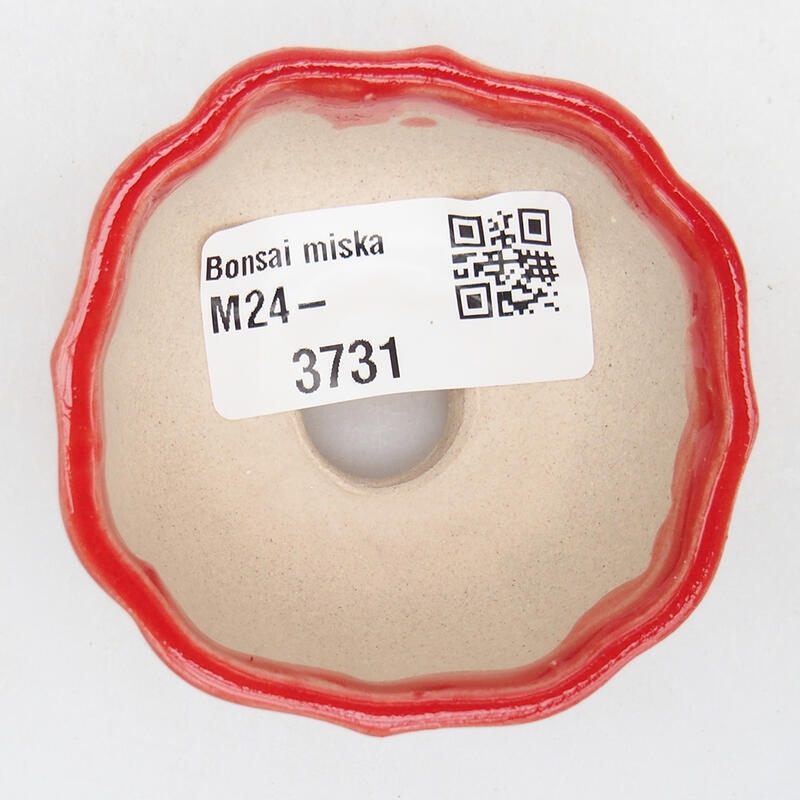 Ciotola per bonsai in ceramica 5,5 x 5,5 x 3 cm, colore rosso