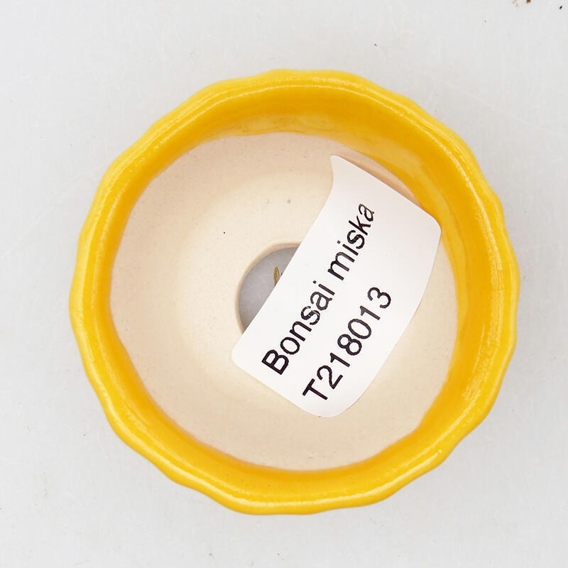 Ciotola bonsai in ceramica 5,5 x 5,5 x 3 cm, giallo