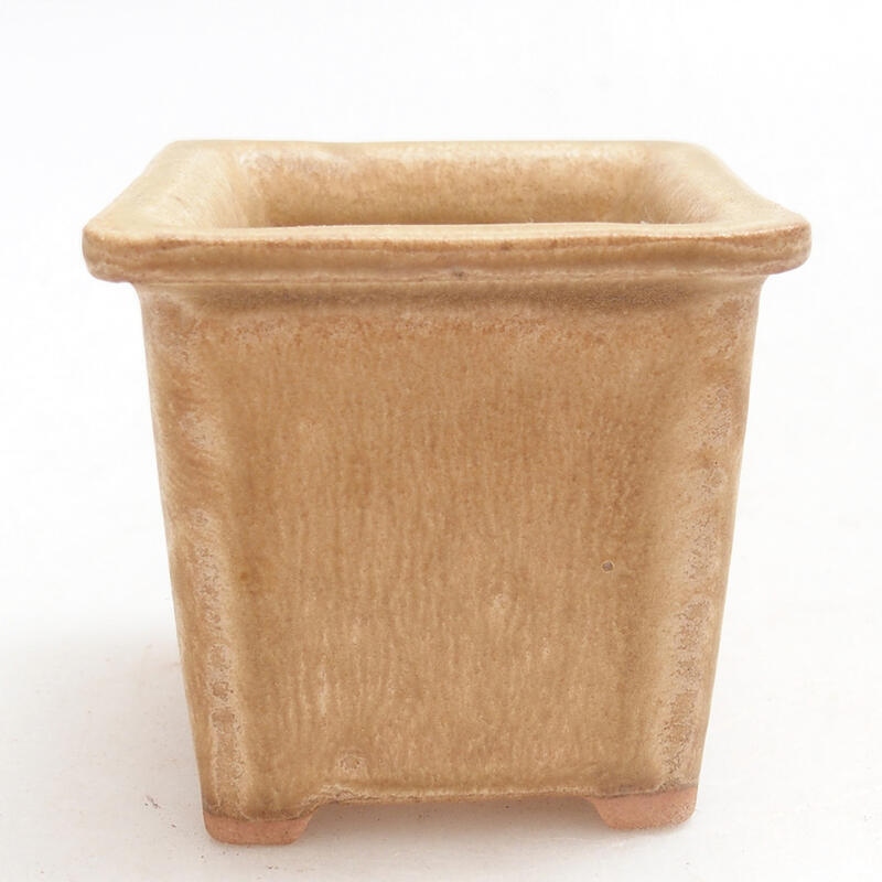 Ciotola per bonsai in ceramica 5,5 x 5,5 x 5 cm, colore beige