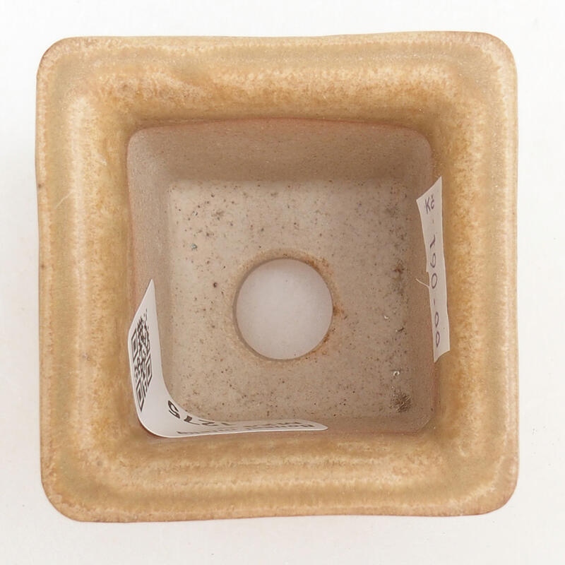 Ciotola per bonsai in ceramica 5,5 x 5,5 x 5 cm, colore beige
