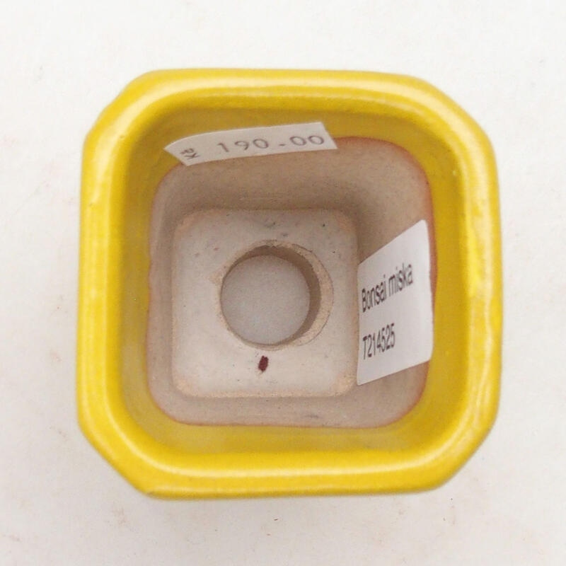 Ciotola per bonsai in ceramica 5,5 x 5,5 x 7 cm, giallo