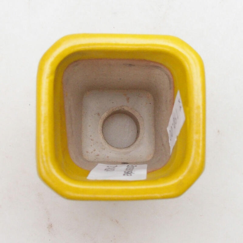 Ciotola per bonsai in ceramica 5,5 x 5,5 x 7 cm, giallo