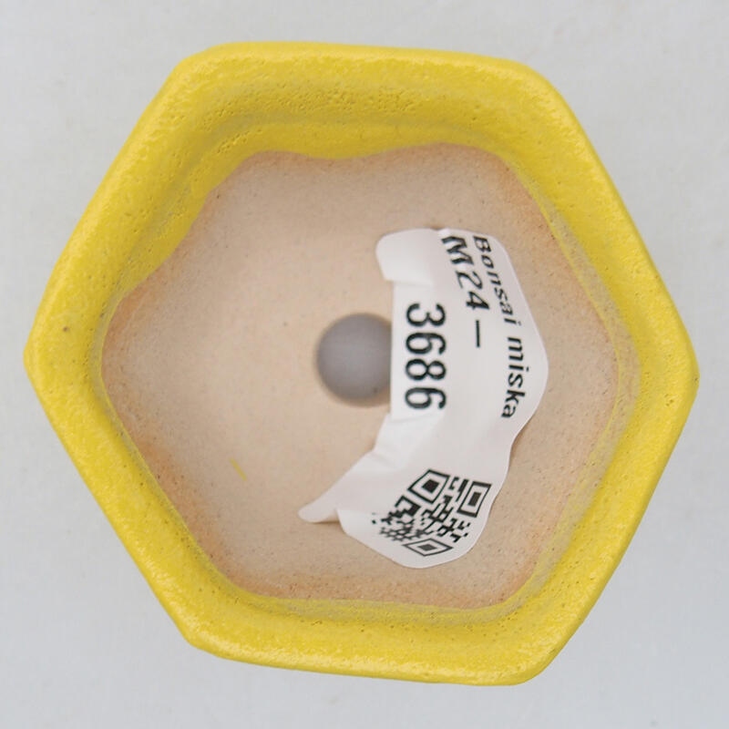 Ciotola per bonsai in ceramica 5,5 x 5 x 3 cm, giallo