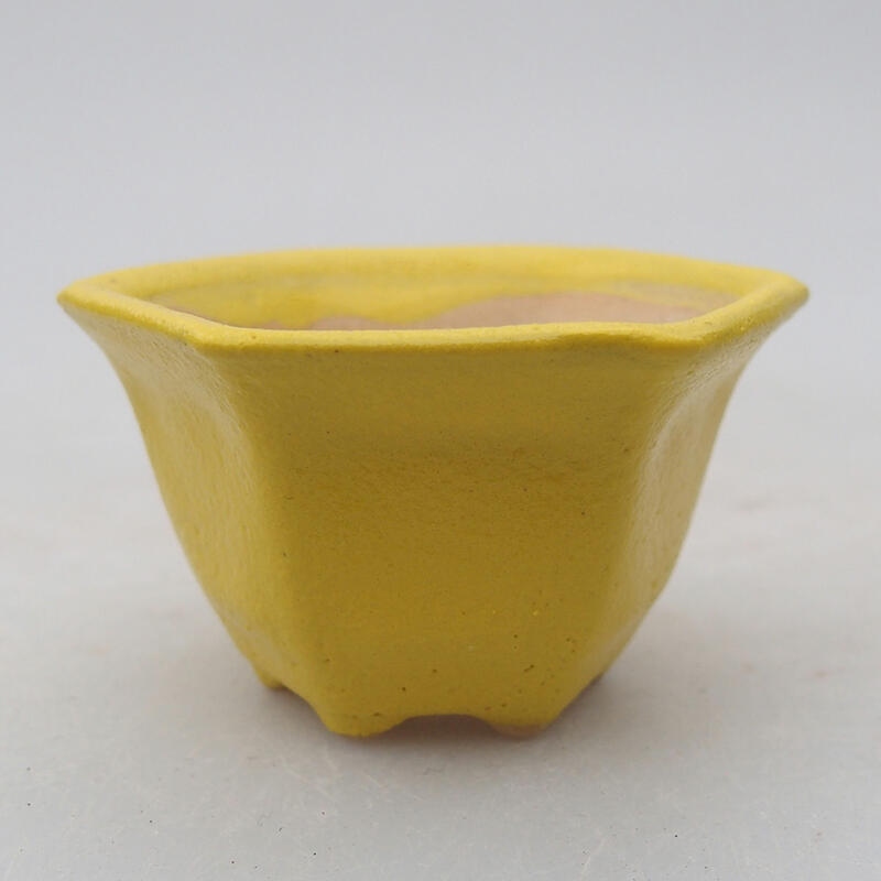 Ciotola per bonsai in ceramica 5,5 x 5 x 3 cm, giallo