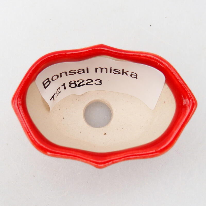 Ciotola per bonsai in ceramica 5 x 3 x 2,5 cm, colore rosso