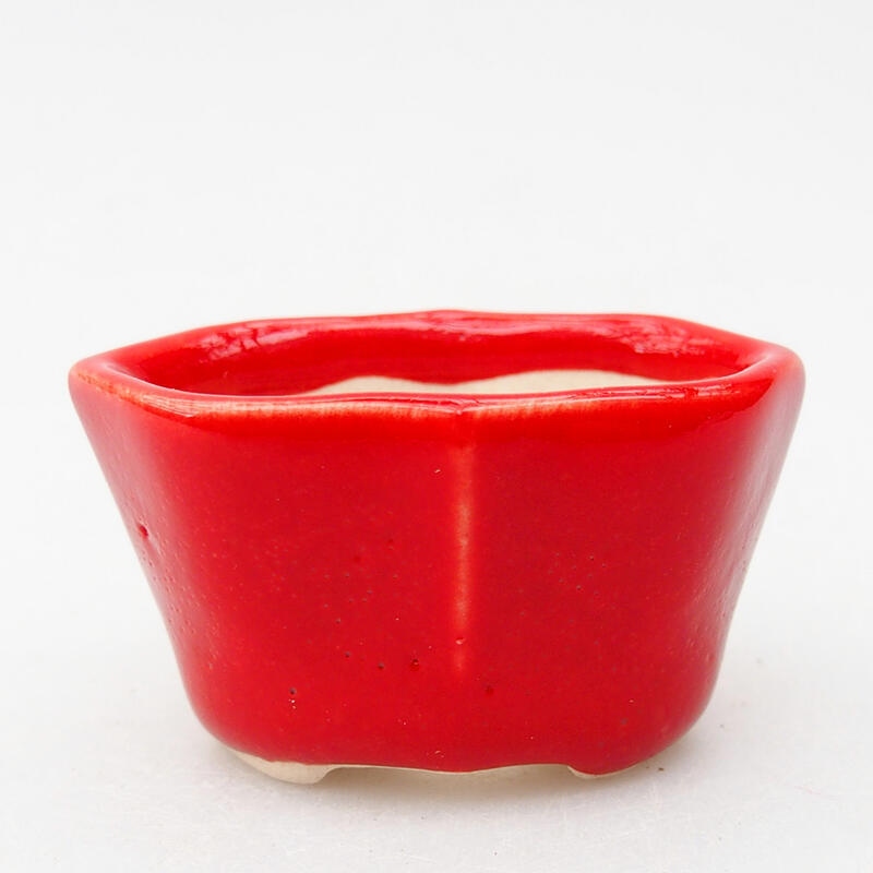 Ciotola per bonsai in ceramica 5 x 3 x 2,5 cm, colore rosso