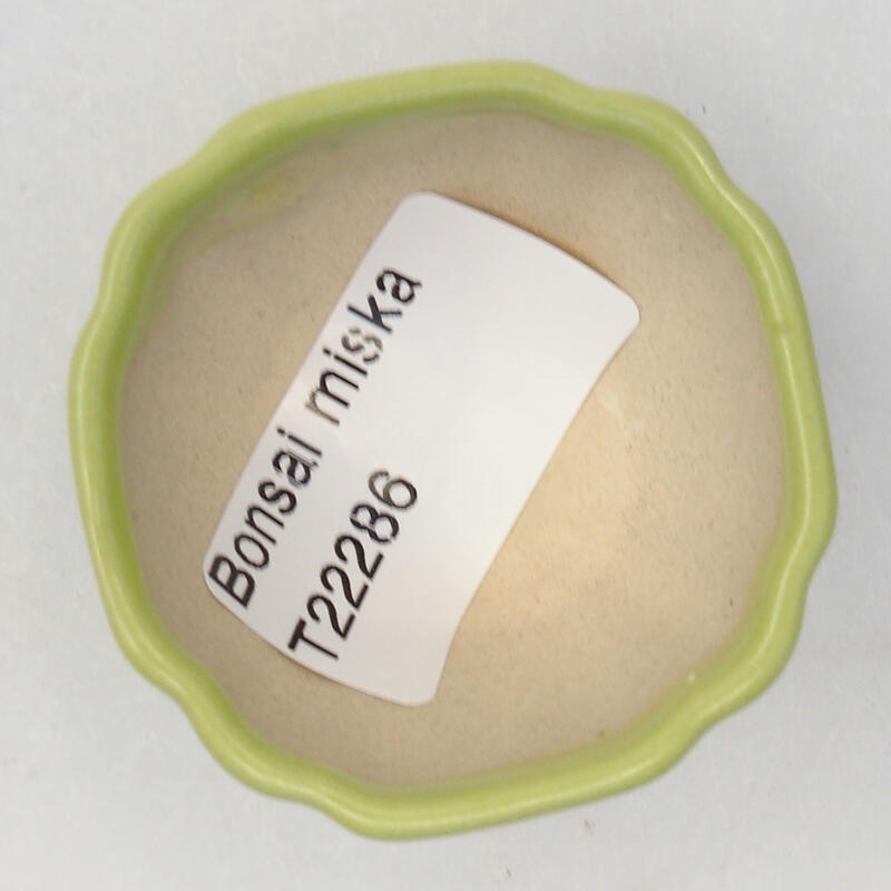 Ciotola per bonsai in ceramica 5 x 5 x 2,5 cm, verde