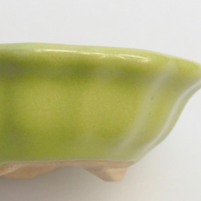 Ciotola bonsai in ceramica 5 x 5 x 2 cm, verde