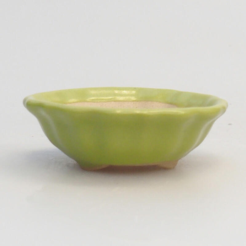 Ciotola bonsai in ceramica 5 x 5 x 2 cm, verde