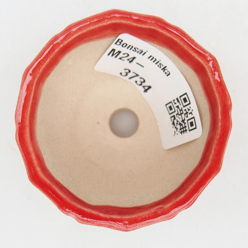 Ciotola per bonsai in ceramica 5 x 5 x 3,5 cm, colore rosso