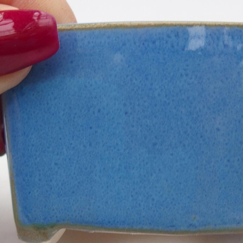 Ciotola bonsai in ceramica 6,5 x 5,5 x 4 cm, colore blu