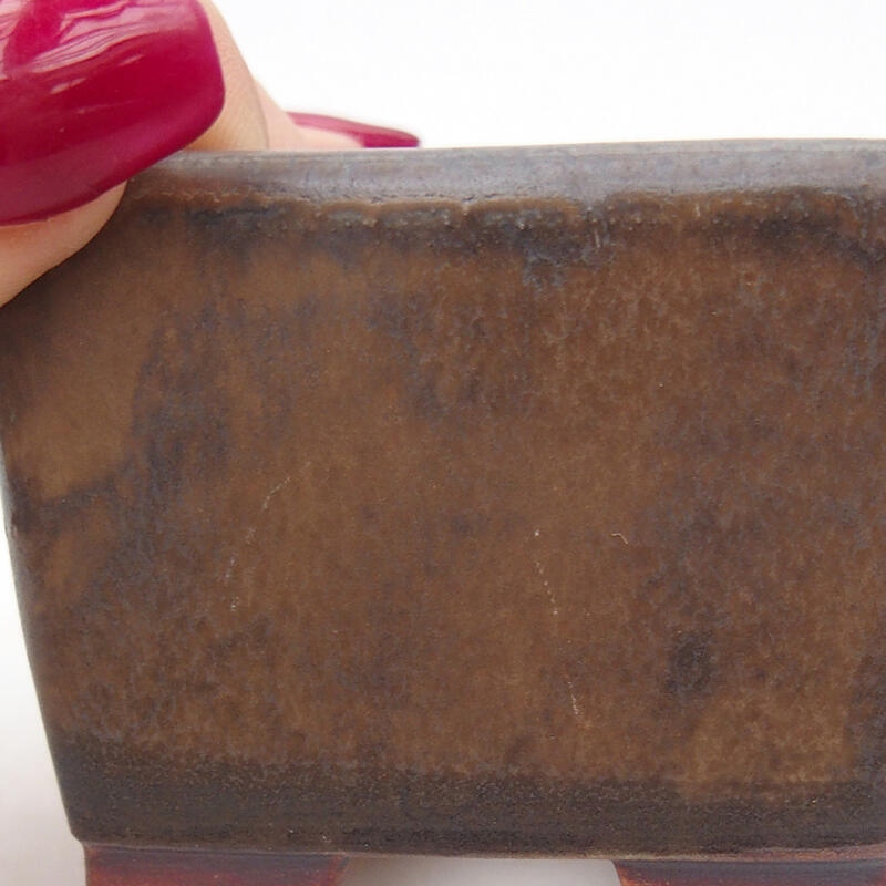 Ciotola per bonsai in ceramica 6,5 x 6,5 x 4,5 cm, marrone