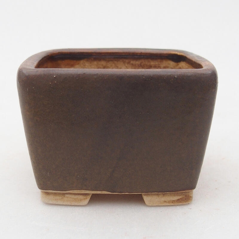 Ciotola per bonsai in ceramica 6,5 x 6,5 x 4,5 cm, marrone