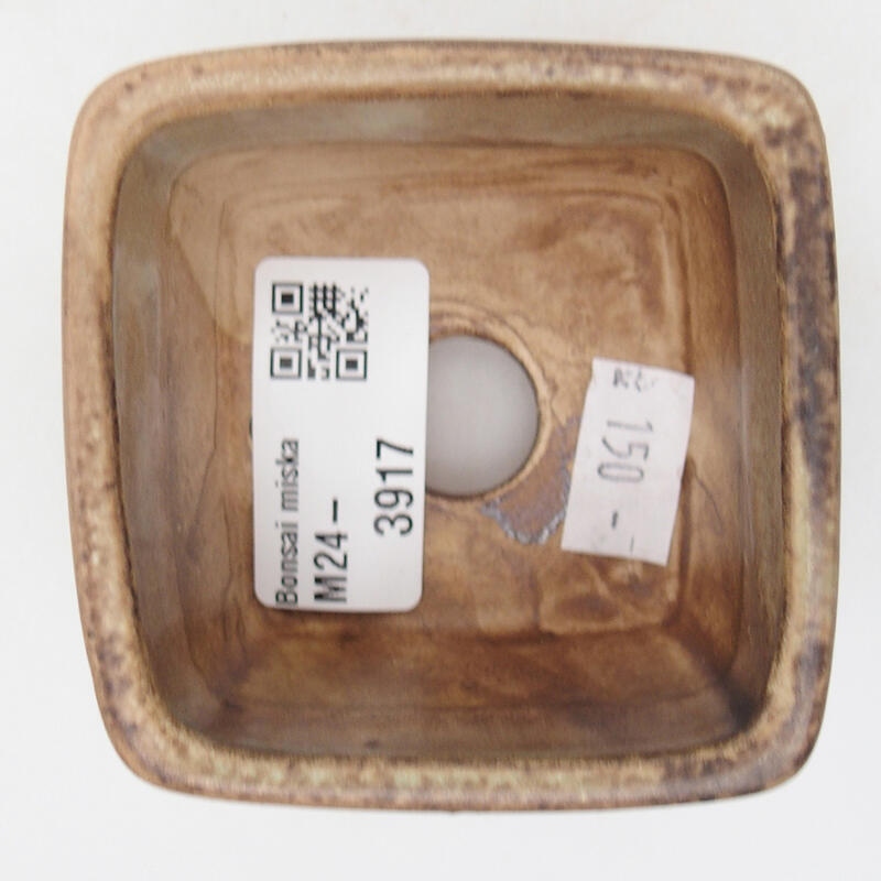 Ciotola per bonsai in ceramica 6,5 x 6,5 x 4,5 cm, verde