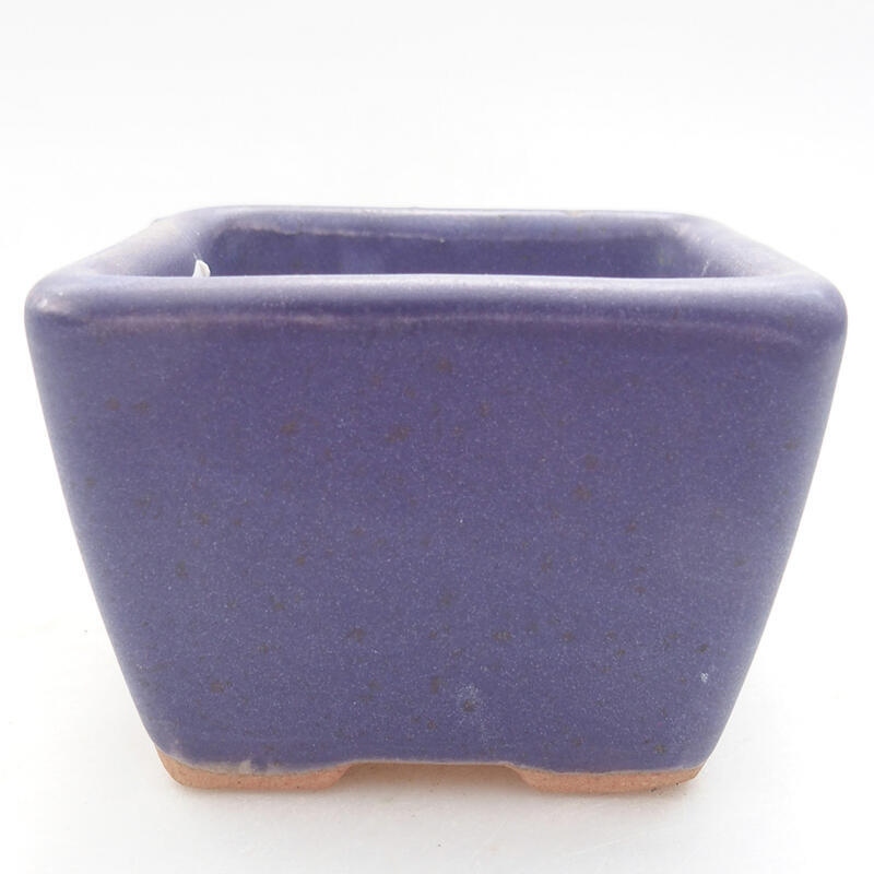 Ciotola per bonsai in ceramica 6,5 x 6,5 x 5 cm, colore viola