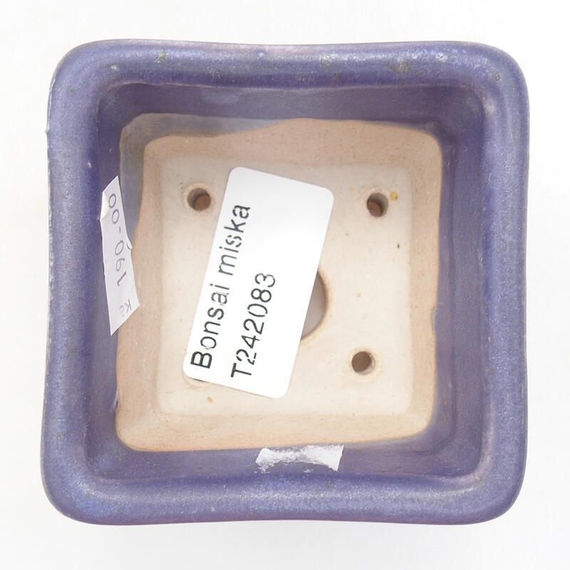 Ciotola per bonsai in ceramica 6,5 x 6,5 x 5 cm, colore viola