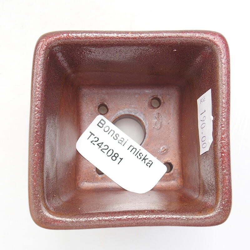 Ciotola bonsai in ceramica 6,5 x 6,5 x 5 cm, colore metallo