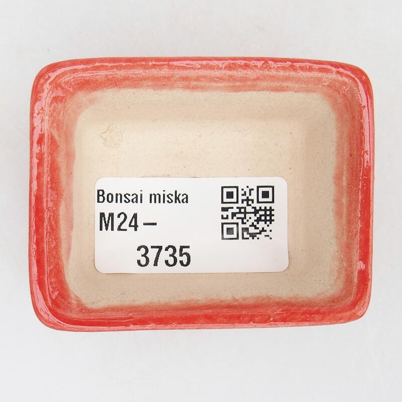 Ciotola per bonsai in ceramica 6 x 4,5 x 2,5 cm, colore rosso