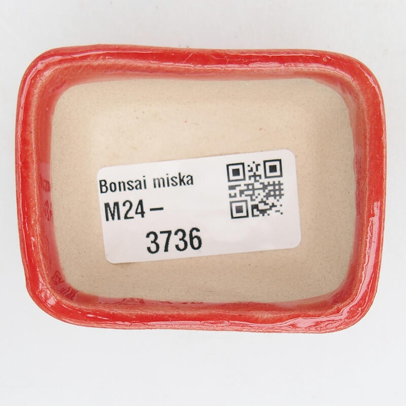 Ciotola per bonsai in ceramica 6 x 4 x 3 cm, colore rosso