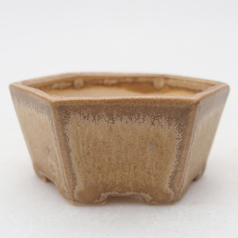 Ciotola per bonsai in ceramica 6 x 5,5 x 2,5 cm, colore beige