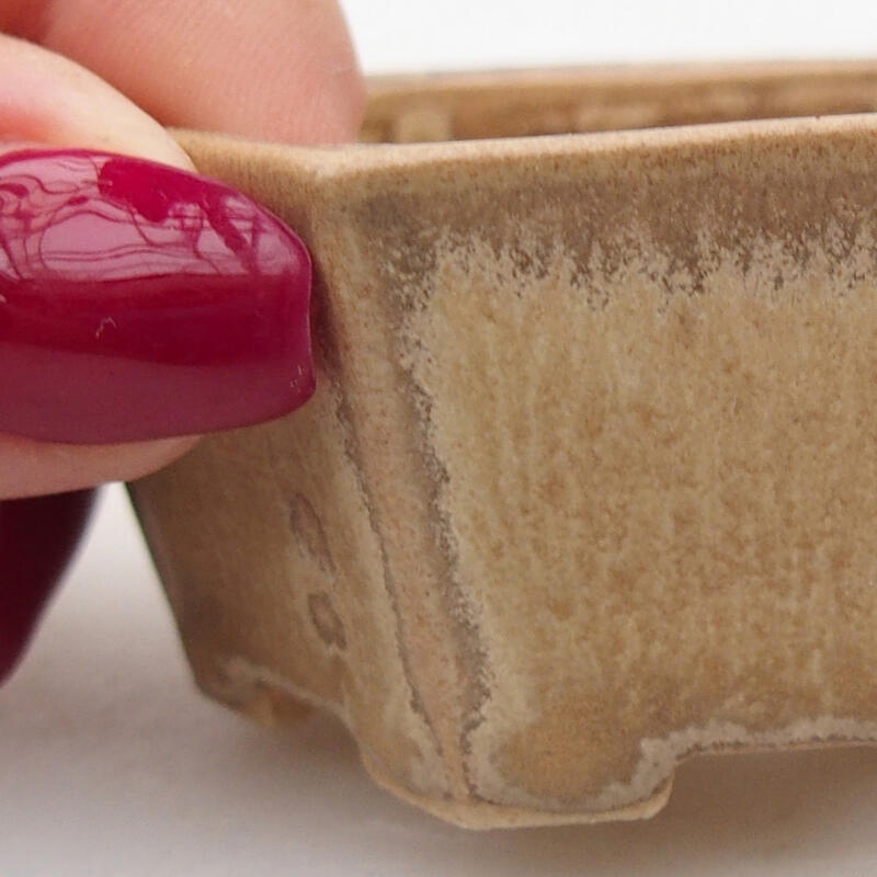 Ciotola per bonsai in ceramica 6 x 5,5 x 2,5 cm, colore beige