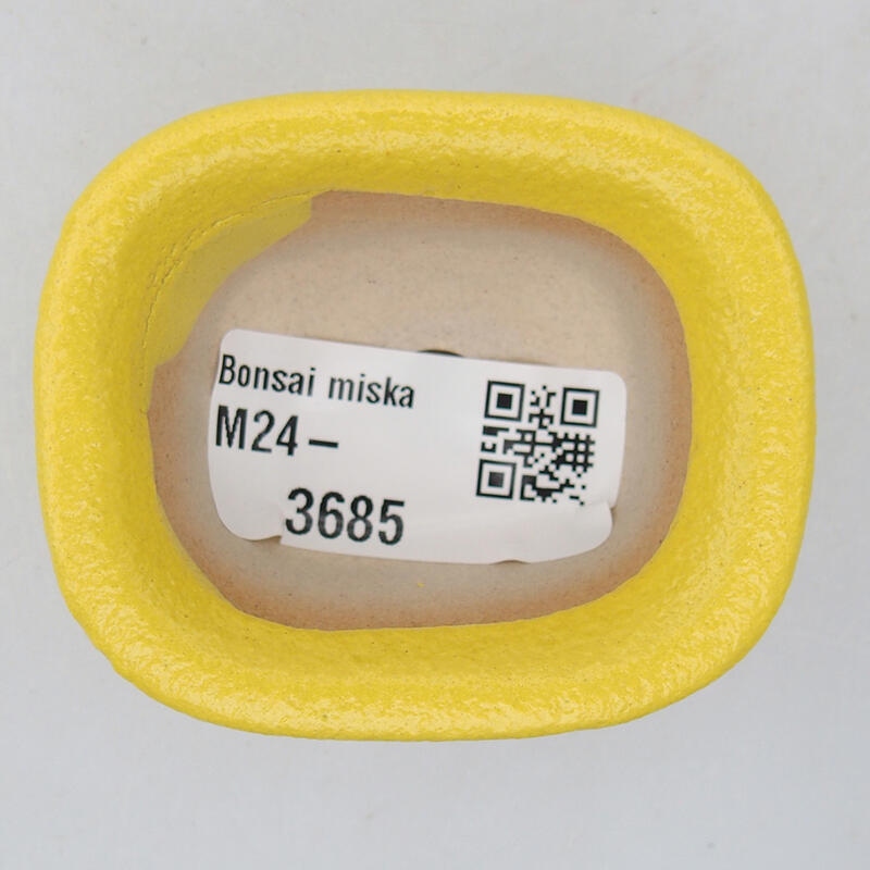 Ciotola bonsai in ceramica 6 x 5 x 3 cm, giallo