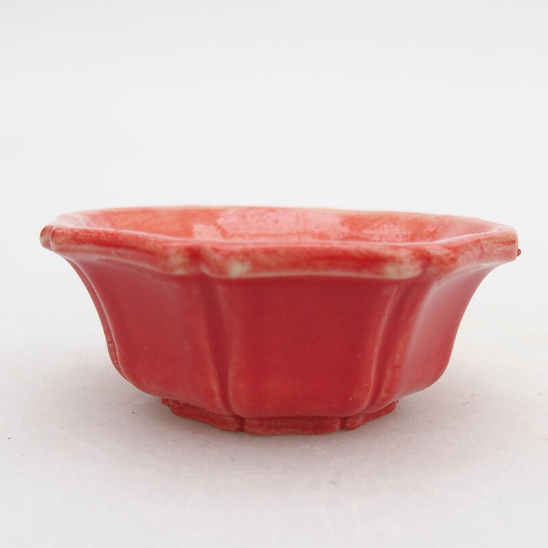 Ciotola per bonsai in ceramica 6 x 6 x 2,5 cm, colore rosso