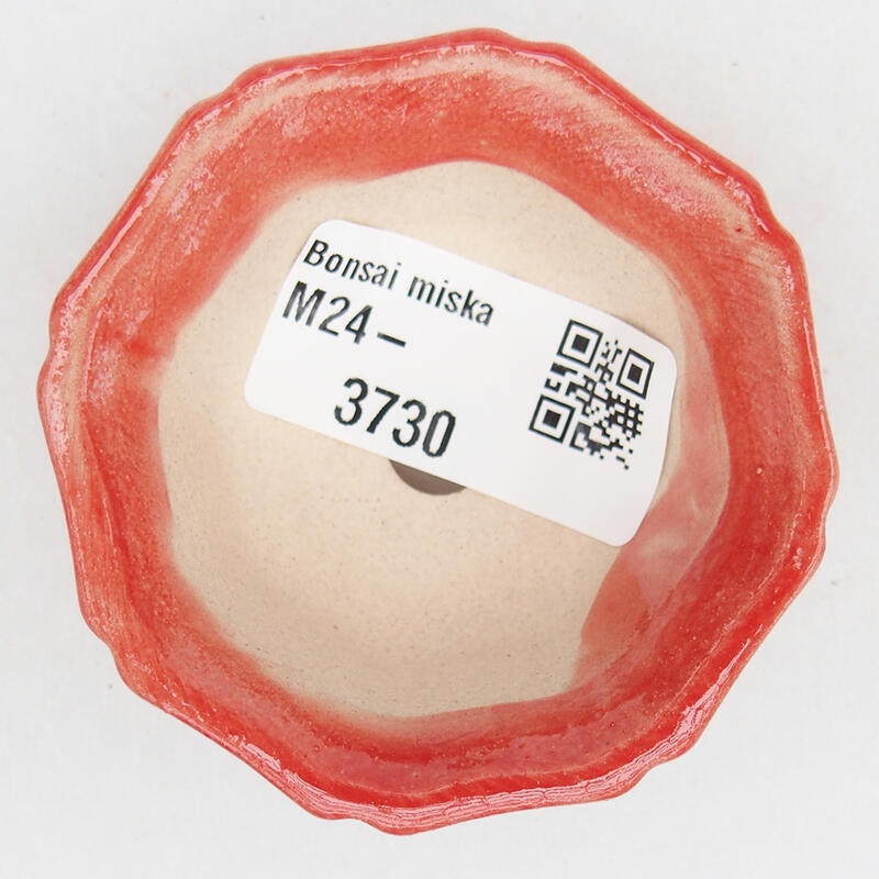 Ciotola per bonsai in ceramica 6 x 6 x 2,5 cm, colore rosso