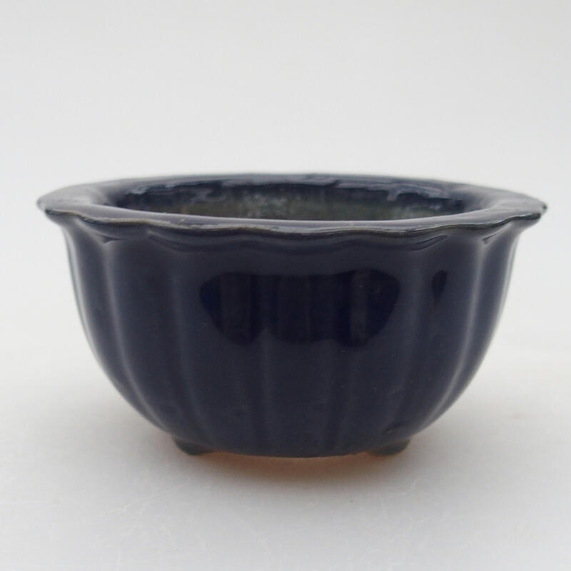 Ciotola per bonsai in ceramica 6 x 6 x 3,5 cm, colore blu